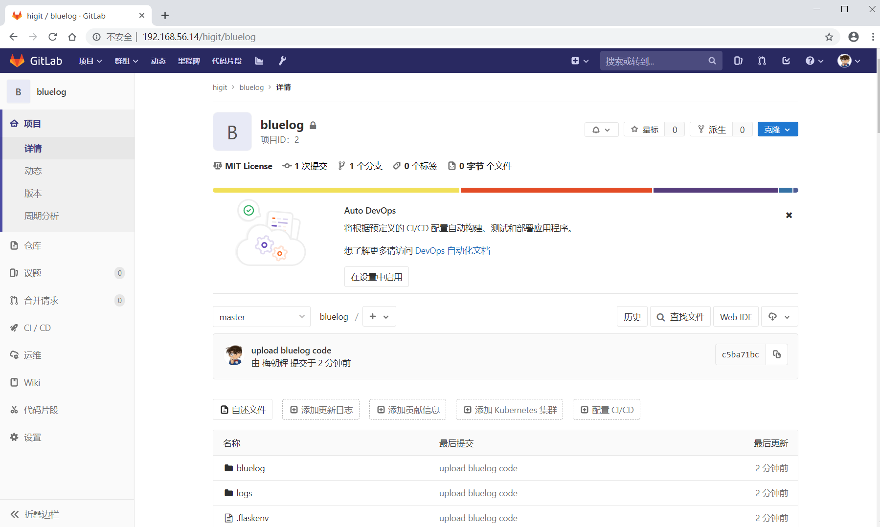 gitlab_bluelog_project.png