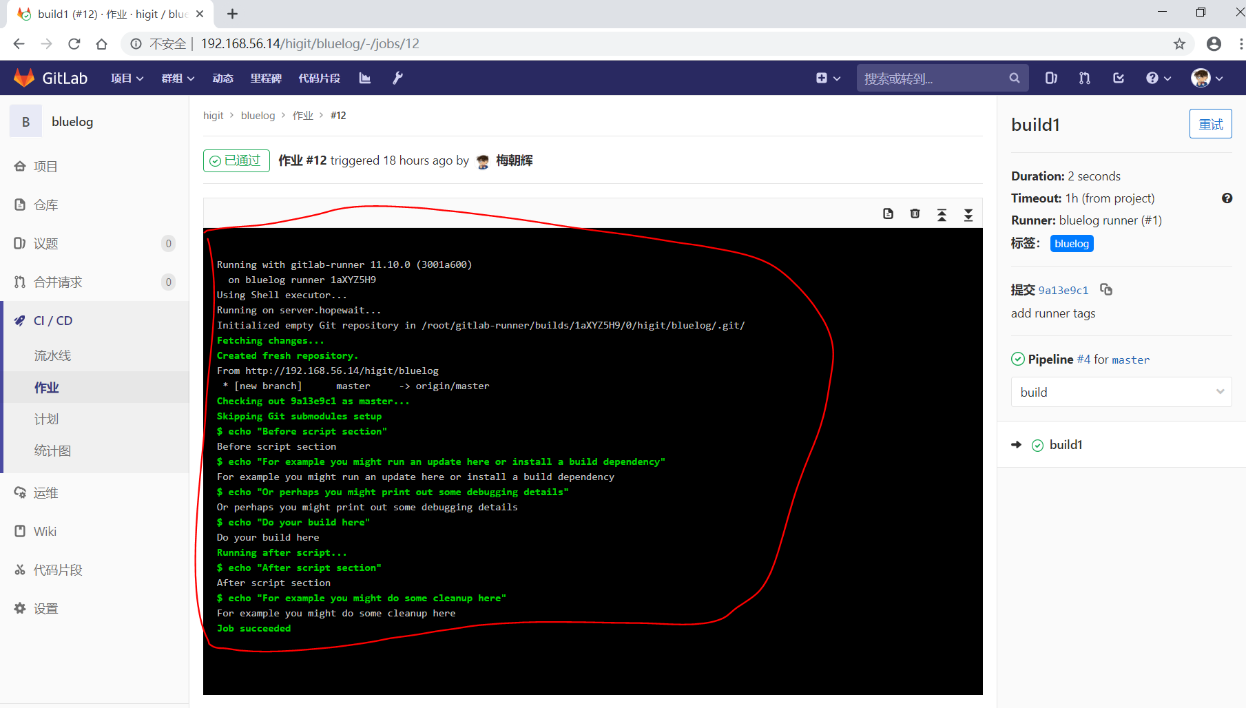 gitlab_cicd-pipeline_console_output.png