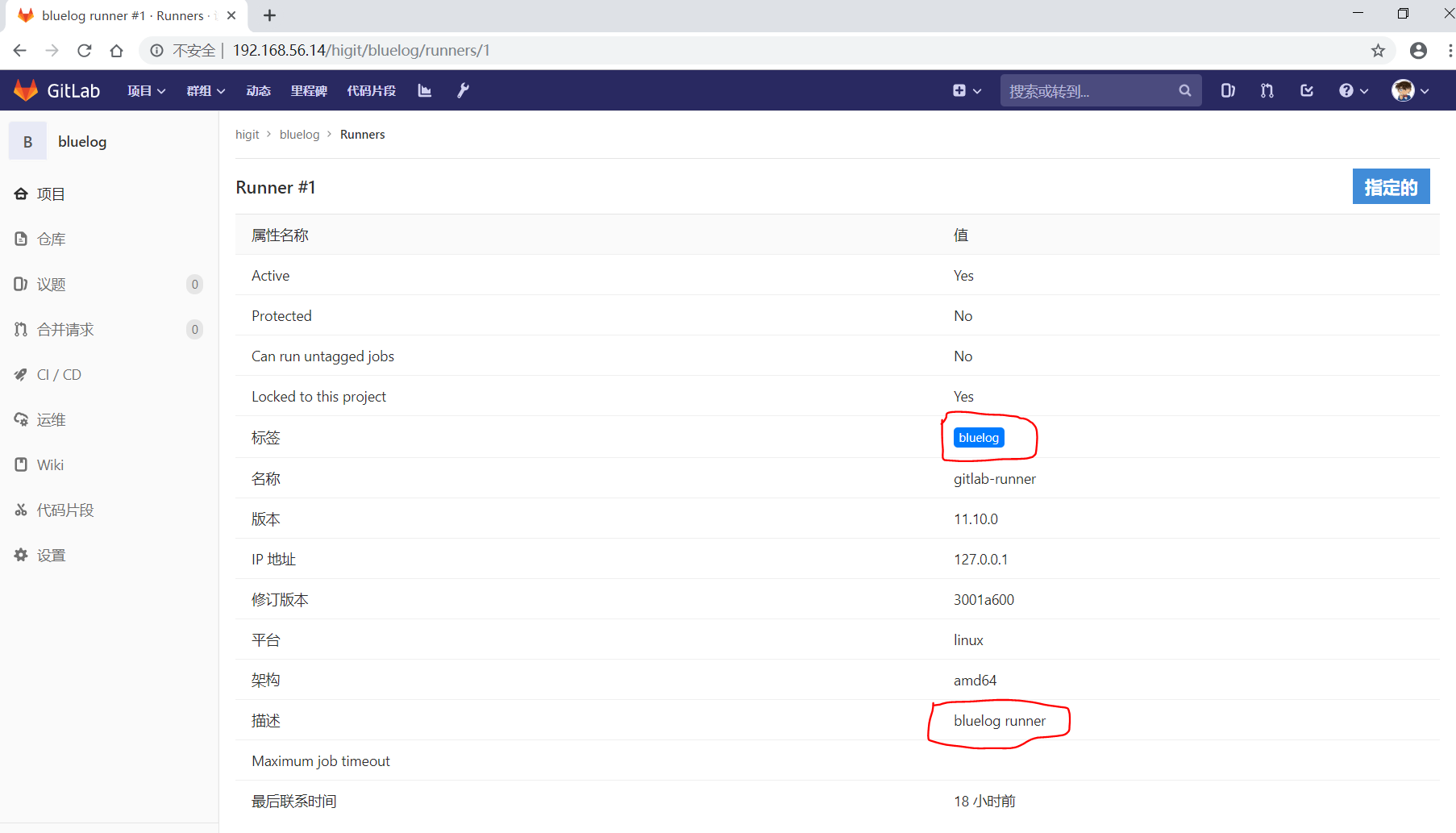 gitlab_cicd_active_runner_detail.png