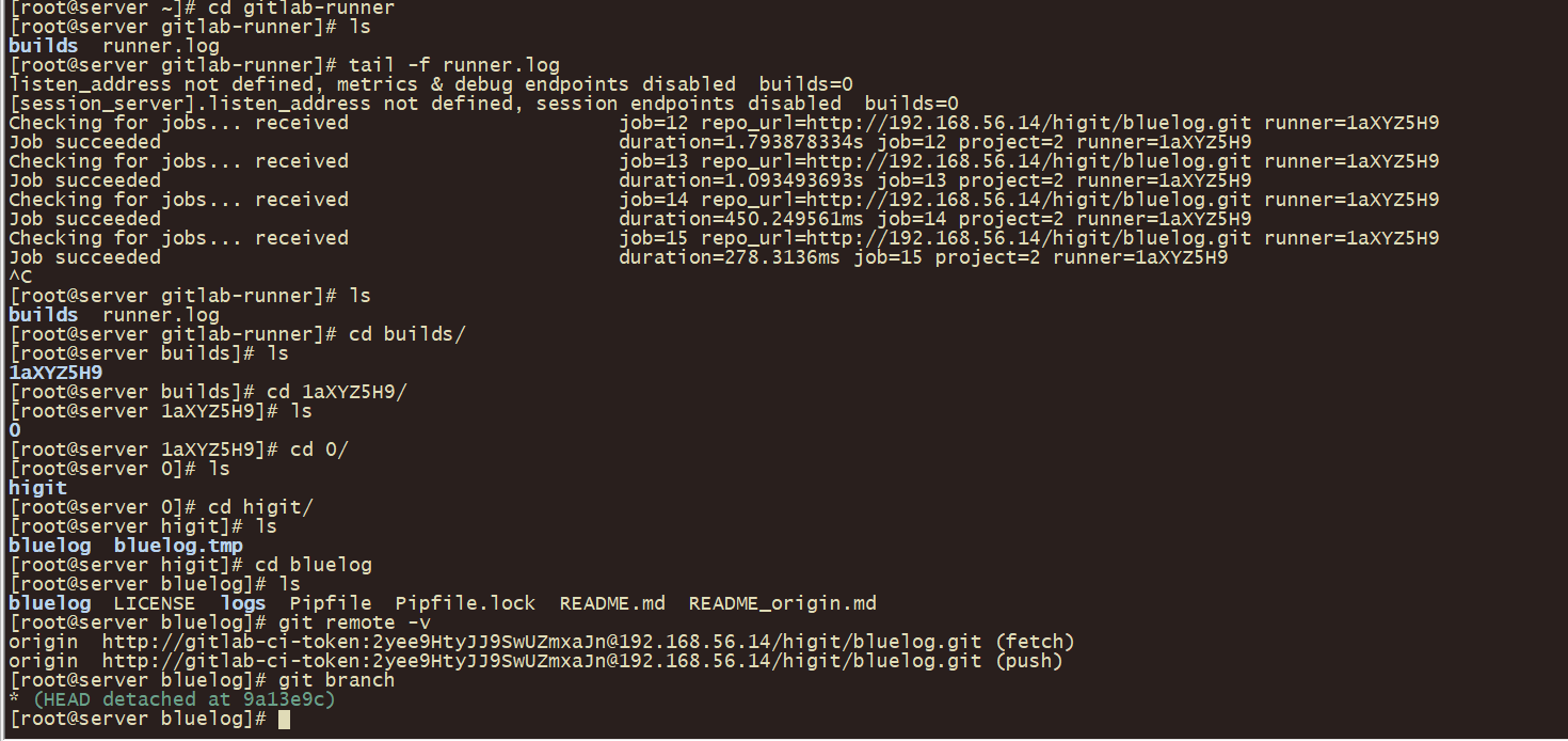 gitlab_cicd_gitlab_runner_console.png