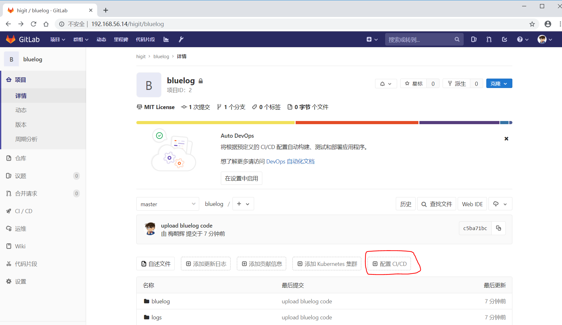 gitlab_configure_ci_cd.png