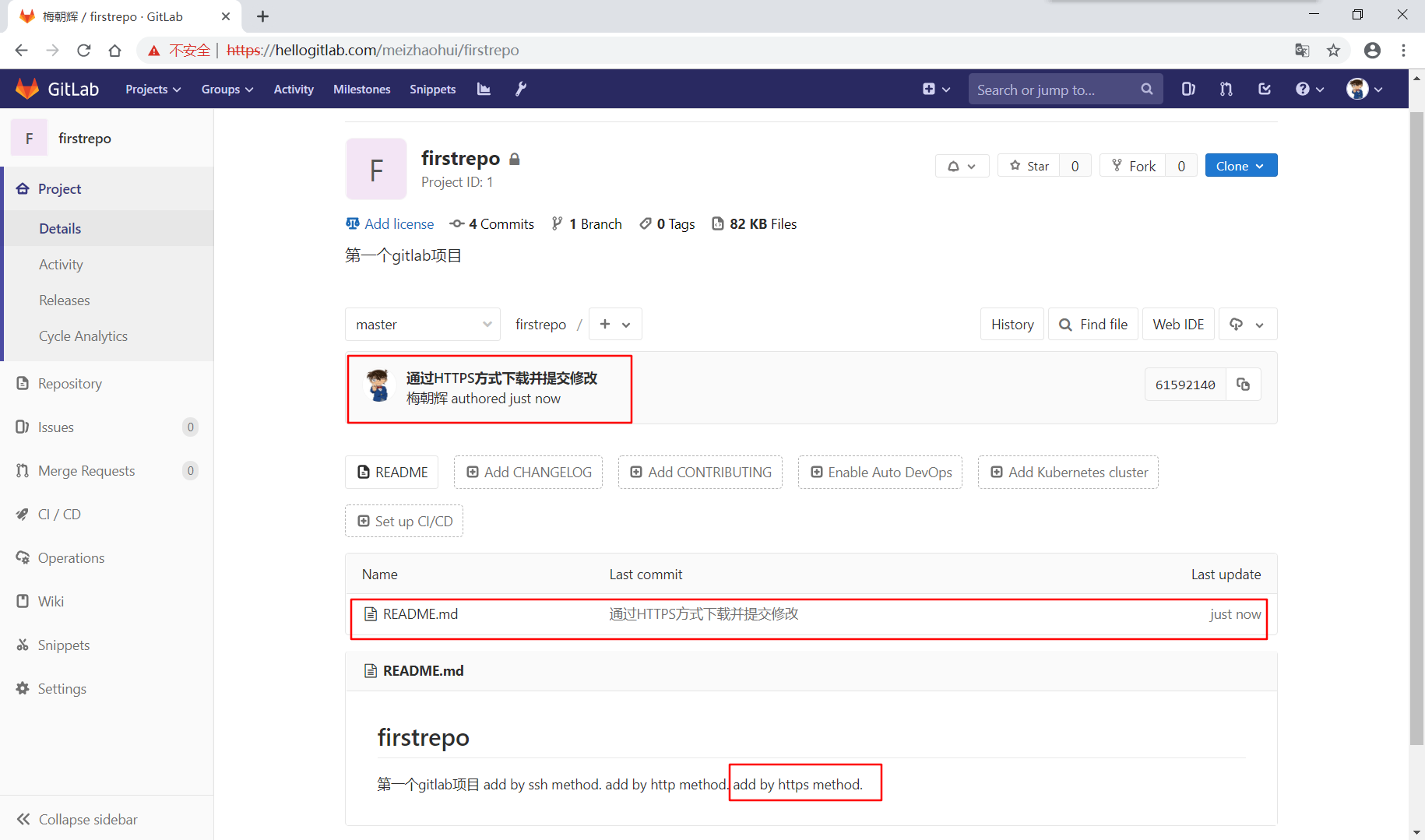 gitlab_domain_https_commit.png