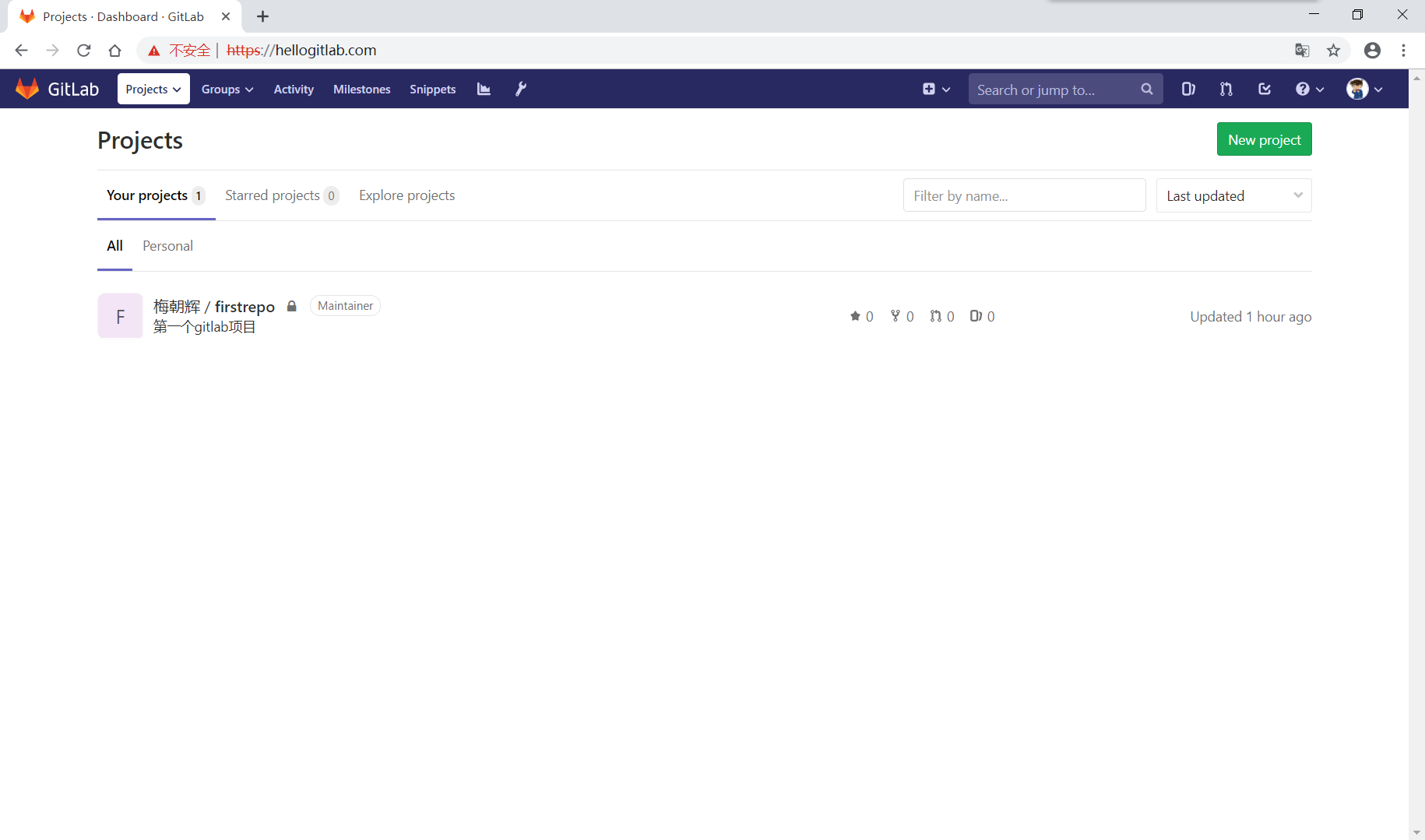 gitlab_domain_https_login.png