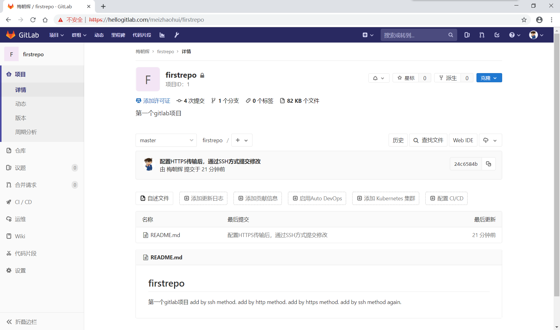 gitlab_domain_https_project_details_with_i18n.png