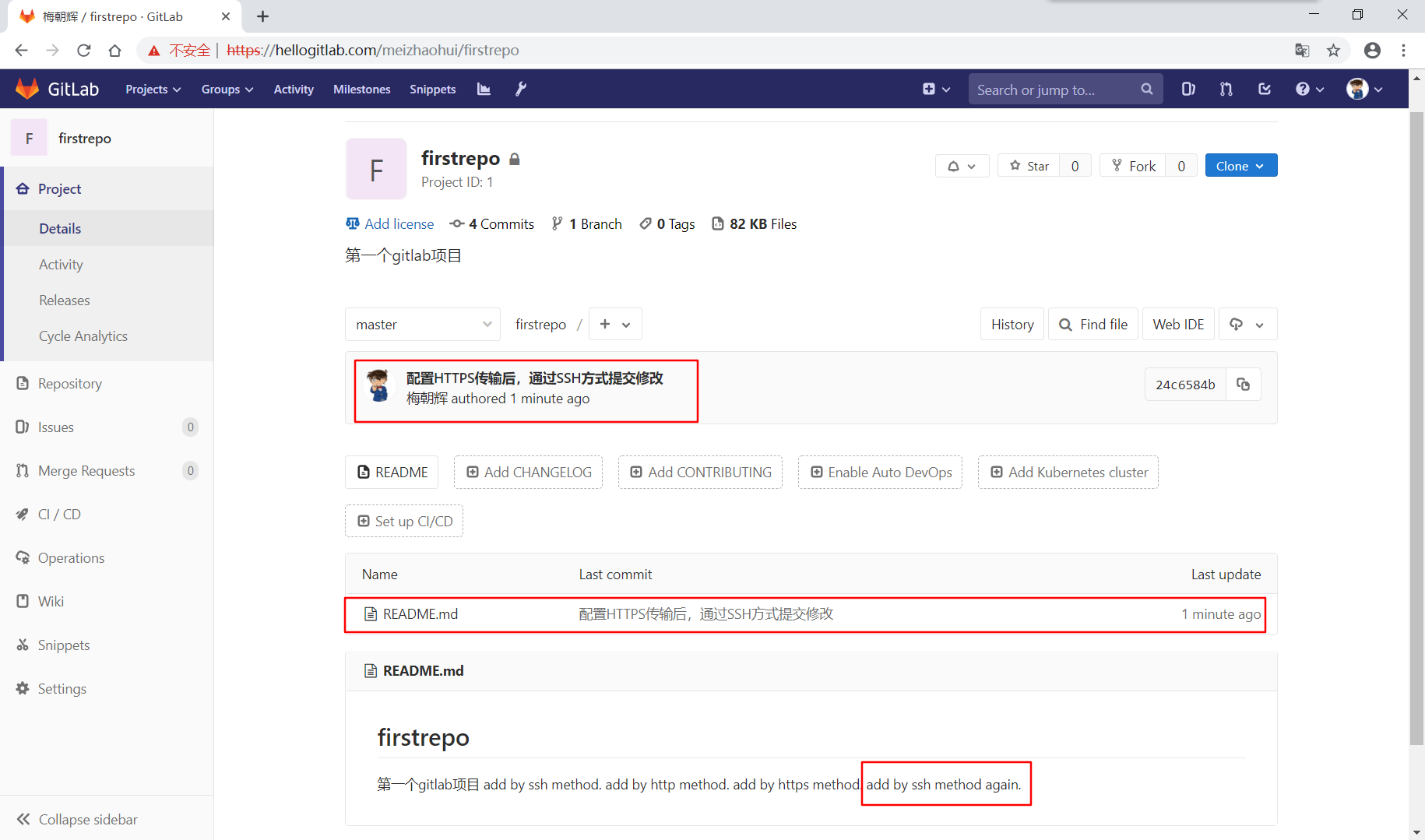gitlab_domain_https_ssh_push.png