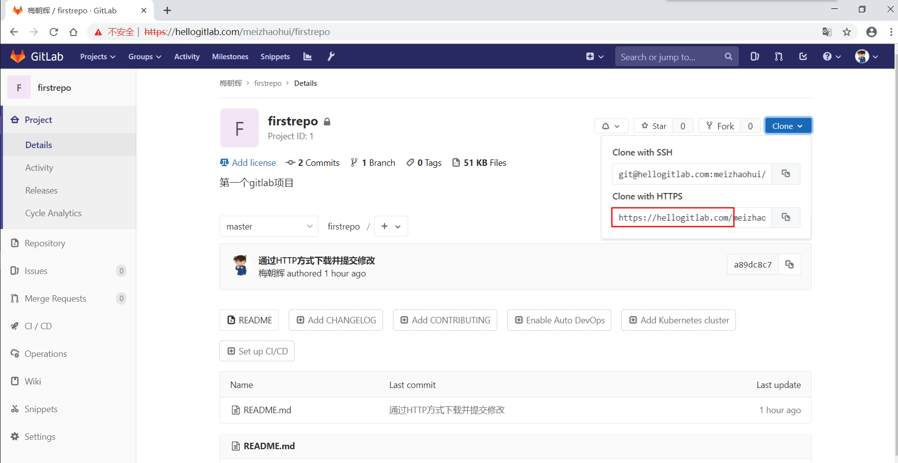 gitlab_domain_https_url_updated.png