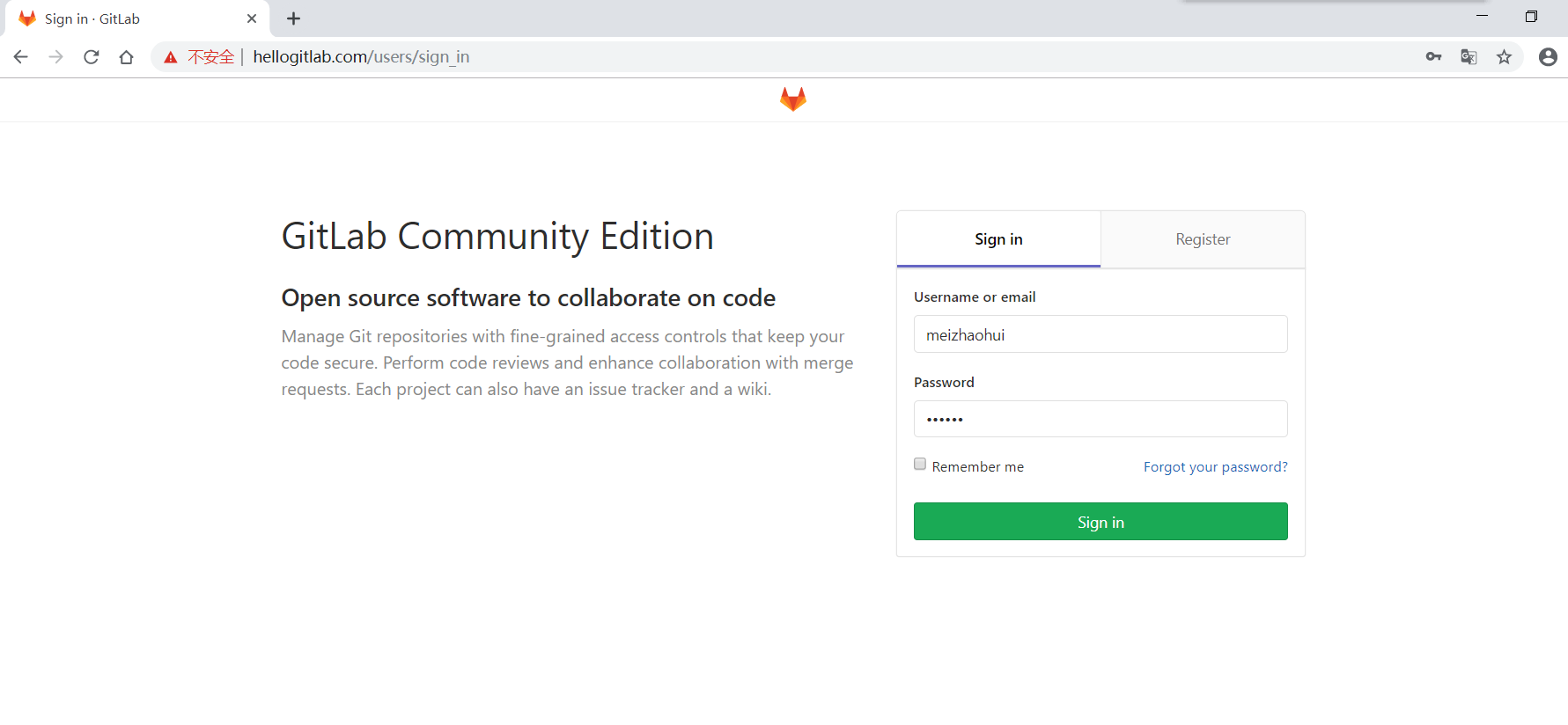 gitlab_domain_login_page.png